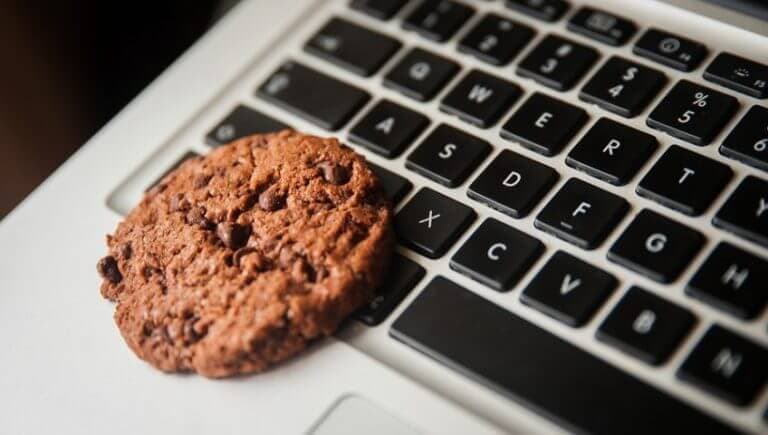 Cookies, to Accept or Not to Accept? – understand how this tool helps your web experience.